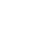 the-norh-face white